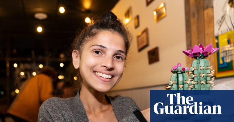‘It’s therapy by stealth’: the adult fans helping Lego build its billions in sales