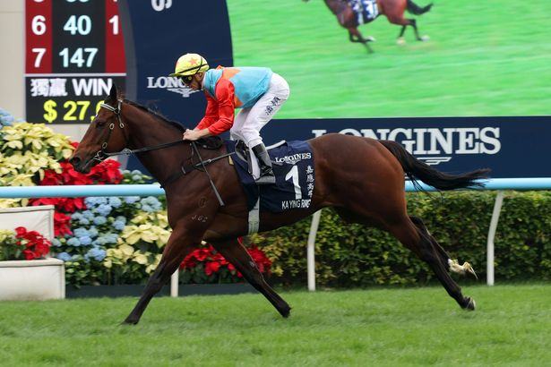 OLI BELL - 'Superstar Ka Ying Rising could sell out Royal Ascot five times over'
