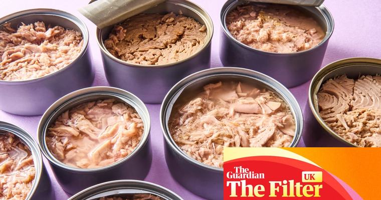 ‘Pungent and mealy’: the best (and worst) supermarket tuna, tasted and rated