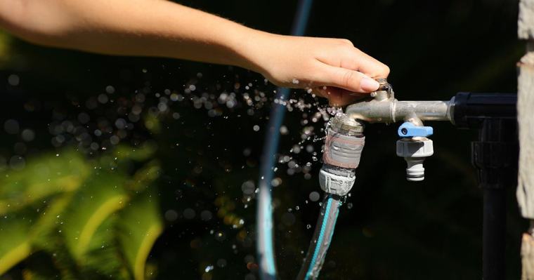 Expert urges homeowners to do this 1 thing in their garden in September