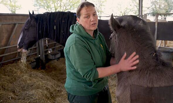 Cannon Hall Farm shares tragic terminal cancer news as farmer flooded with support