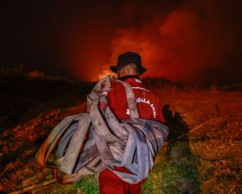 El Niño-fuelled wildfires destroy precious Indonesian forests – in pictures